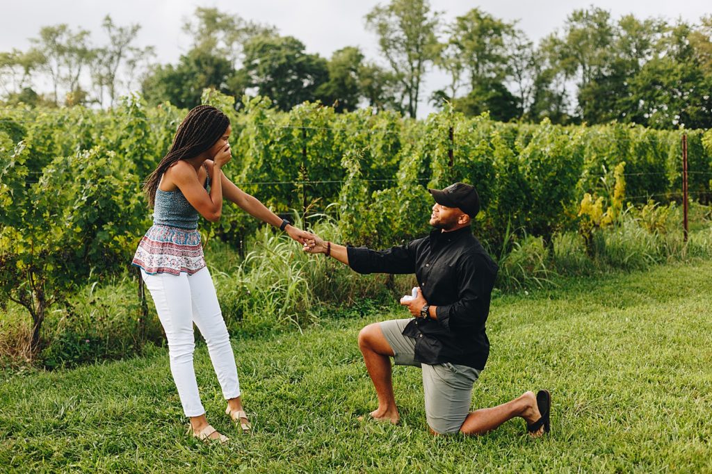 annapolis maryland wedding proposal engagement photographer 